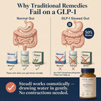 Steadi No. 01 — Daily Regularity | 60 Capsules
