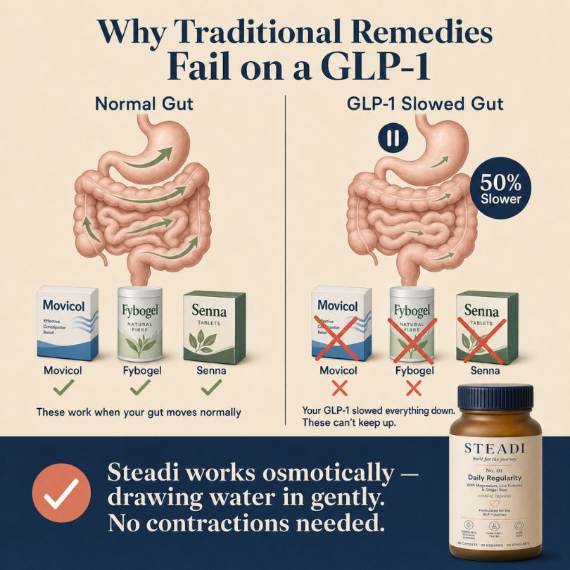 Steadi No. 01 — Daily Regularity | 60 Capsules