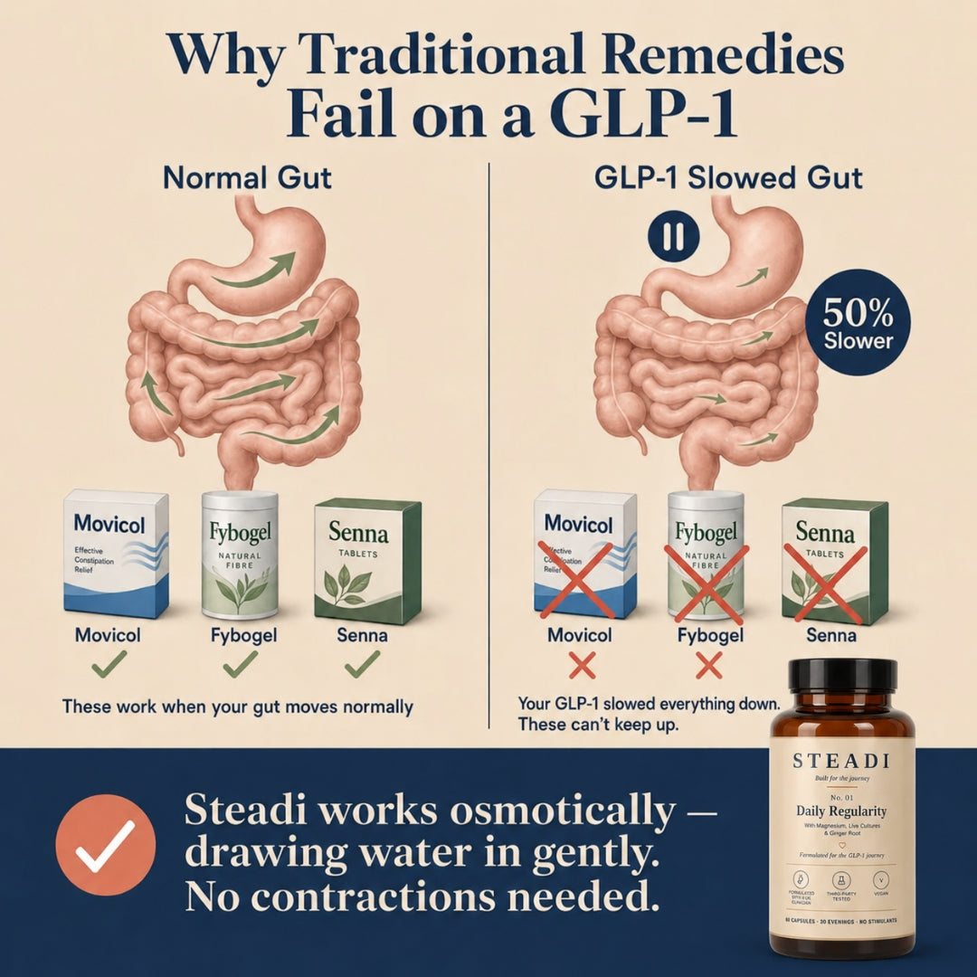 Steadi No. 01 — Daily Regularity | 60 Capsules
